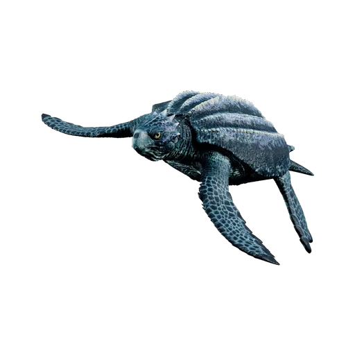 Archelon