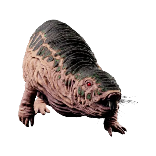 Roll Rat
