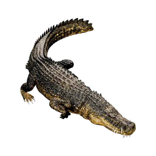 Deinosuchus