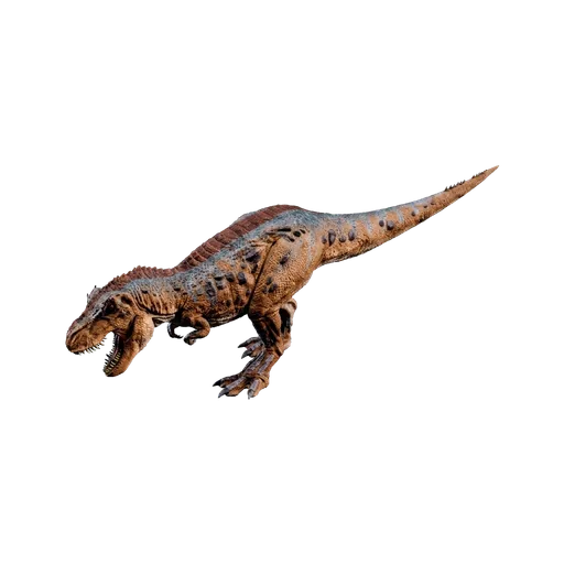 Rex