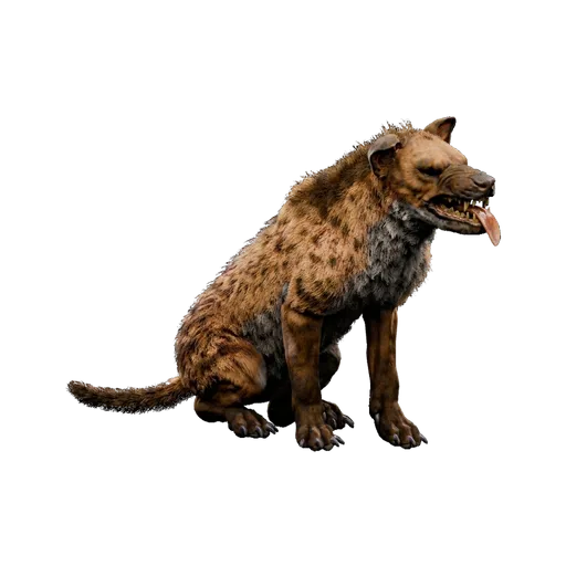 Hyaenodon 