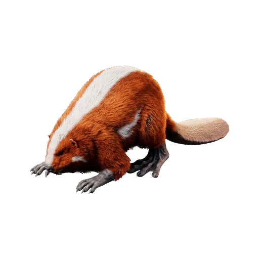 Castoroides