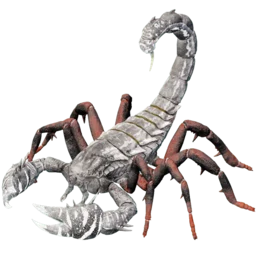 Afwijkende pulmonoscorpius