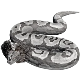 Afwijkende Titanoboa