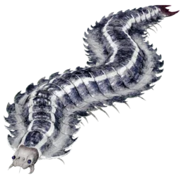 Arthropluera Aberrante