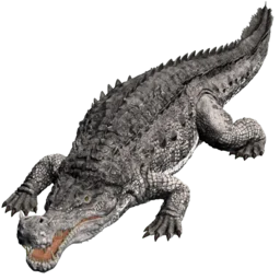 Aberranter Sarco