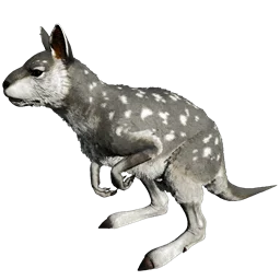 R-Procoptodon