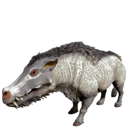 R-Daeodon
