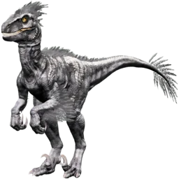 Raptor-X