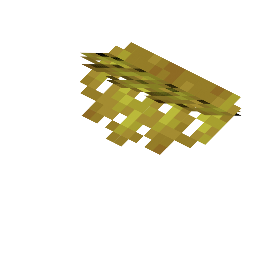Horn Coral Wall Fan
