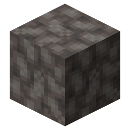 Dead Bubble Coral Block