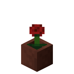 Potted Poppy