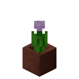 Potted Pink Tulip
