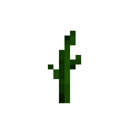 Melon Stem