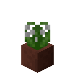 Potted Lily of the Valley