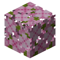 Hojas de cerezo