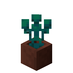 Potted Warped Roots
