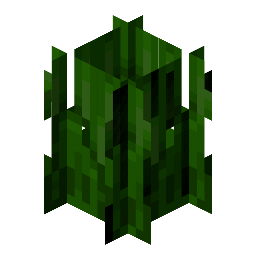 Tall Seagrass