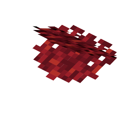 Feuerkorallenwandfächer