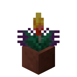 Potted Torchflower