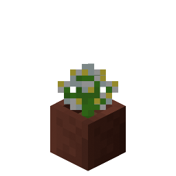 Potted Azure Bluet