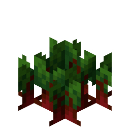Rote Bete