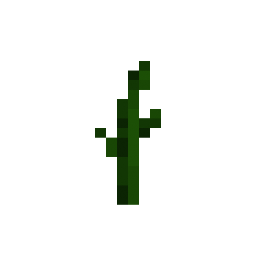 Pumpkin Stem