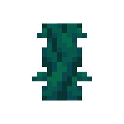 Twisting Vines Plant