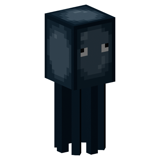 Squid