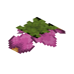 Spore Blossom