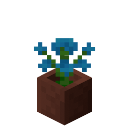 Potted Blue Orchid