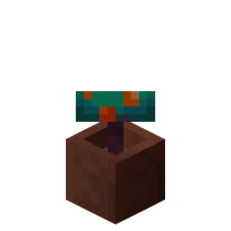 Potted Warped Fungus