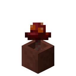 Potted Crimson Fungus