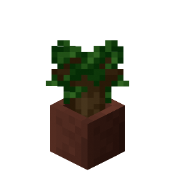 Potted Dark Oak Sapling