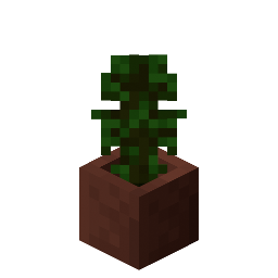 Potted Jungle Sapling