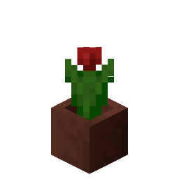 Potted Red Tulip
