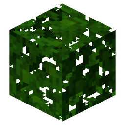 Jungle Leaves