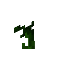 Attached Melon Stem