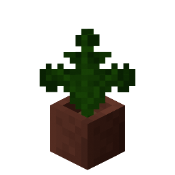 Potted Fern