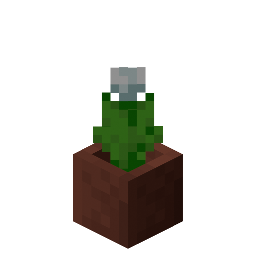 Potted White Tulip