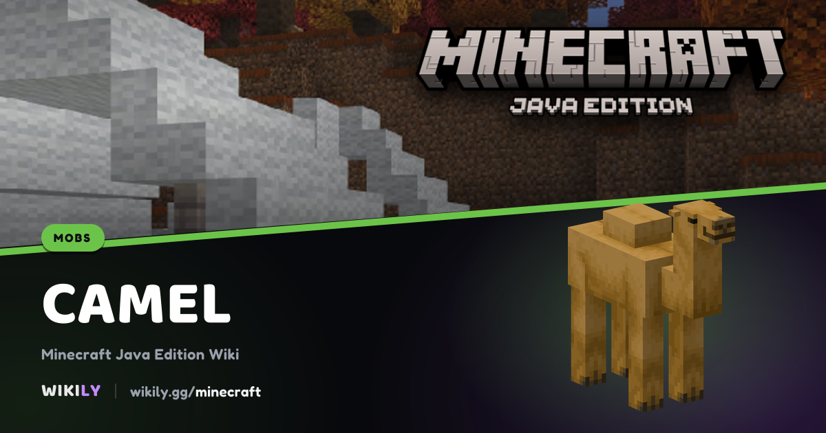 Camel Health and Spawning | Minecraft Wiki