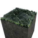 Grass Cosmetic Foundation