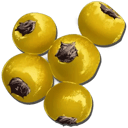 AmarBerry Icon ARK