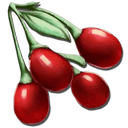 Tintoberry Icon