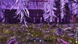 French Quarter Courtyard