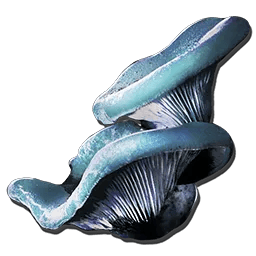 Aquatic Mushroom