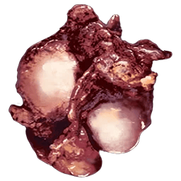 ARK: Survival Ascended Plant Species R-5 Seed dinosaur