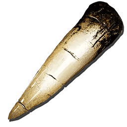 Alpha Tyrannosaur Tooth