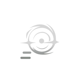 Bullet Absorption icon