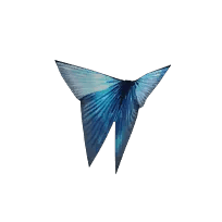 나비 - 라벤더 블루
